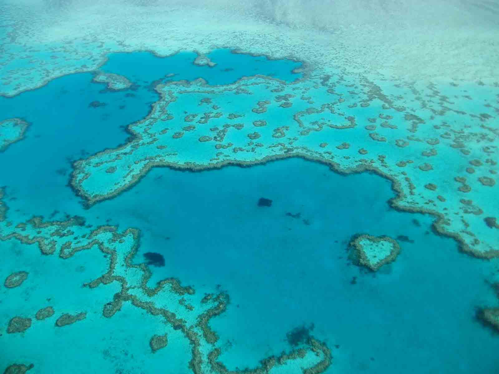 Best Time to Visit the Great Barrier Reef